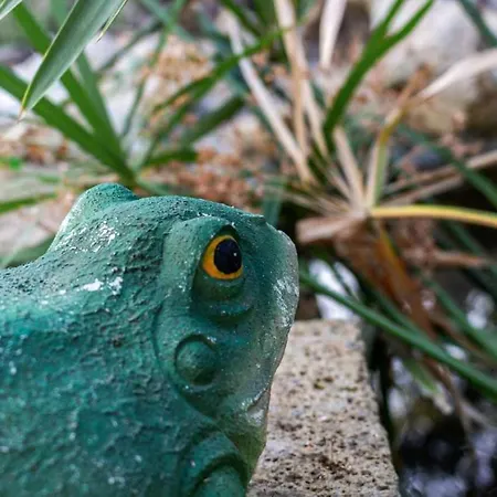 R23 - Casa Yucca, Nuovo