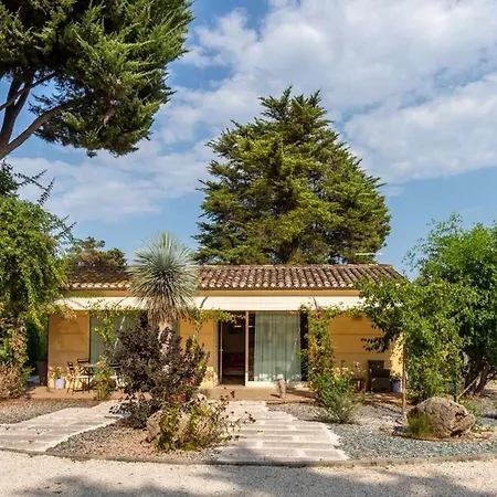 R23 - Casa Yucca, Nuovo