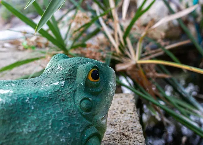 R23 - Casa Yucca, Nuovo