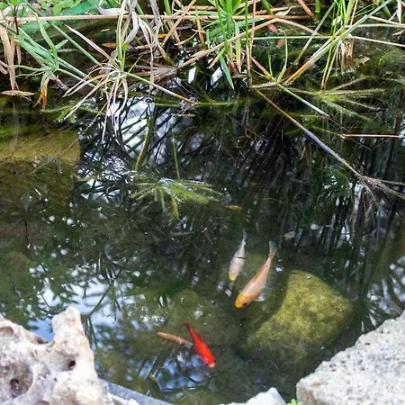 R23 - Casa Yucca, Nuovo Apartmán *