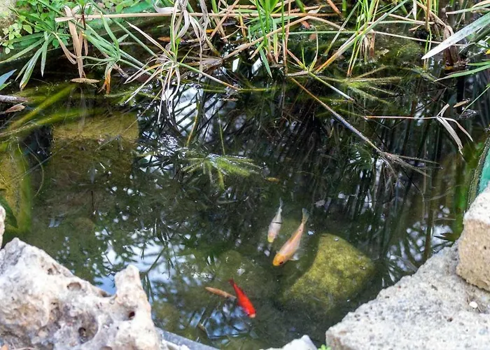 R23 - Casa Yucca, Nuovo Διαμέρισμα *